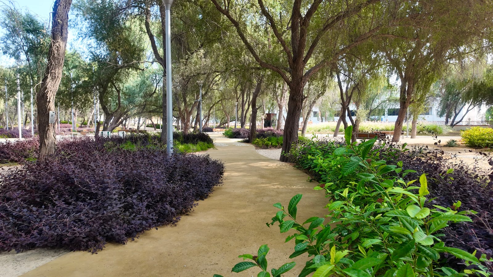 King Hamad Cycle Track — project photo 4 — RBS Group