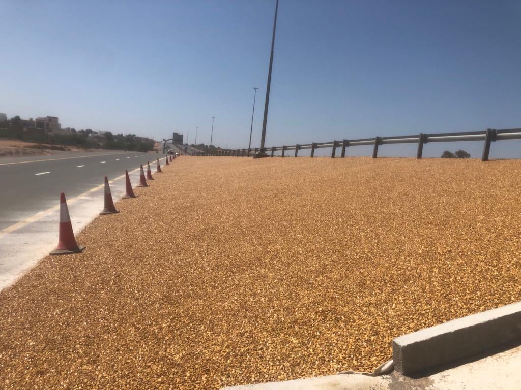 Ras Al Khaimah Bridge — project photo 5 — RBS Group